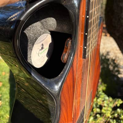 Emerald X10 Custom 2021 - Carbon Fiber with wood overlay image 4