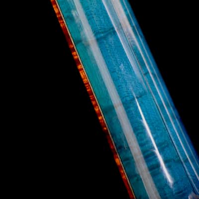 The Tree: The Four Elements - The Element Earth Acoustic Bass image 15