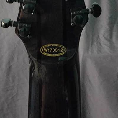 Agile 10 String Fan Fret Multi Scale, Pendulum Pro 2000's - Trans Black Flame Top image 5