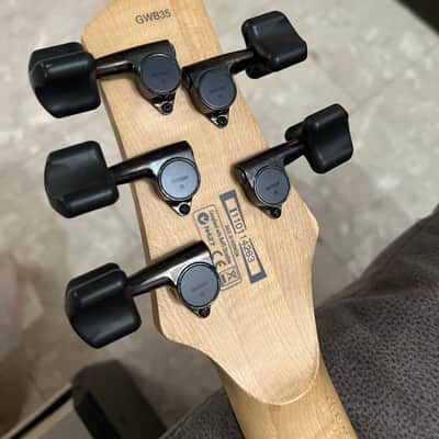 Ibanez GWB35-BKF Gary Willis Signature Soundgear Fretless 2004 - Present - Black Flat image 4