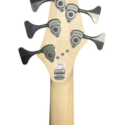 Dingwall Combustion 5, Vintage Burst w/ Pau Ferro *In Stock! image 6