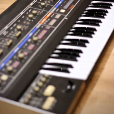 Immagine Roland Jupiter 6 1983 - 1985 - 25