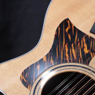Taylor 354ce Grand Auditorium 12-String Acoustic Electric Guitar w/Case image 11