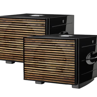 REL CARBON SPECIAL Black Label - Active Subwoofer - NEW! image 3