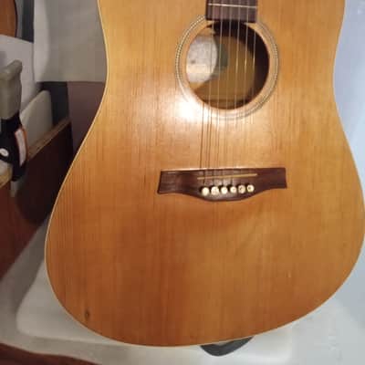Seagull Entourage Dreadnought 2018 - Autumn Burst image 10