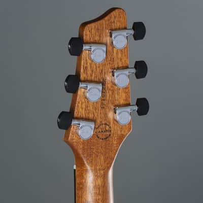 Godin xtSA Light Burst Flame incl. Gigbag - Electric Guitar image 3