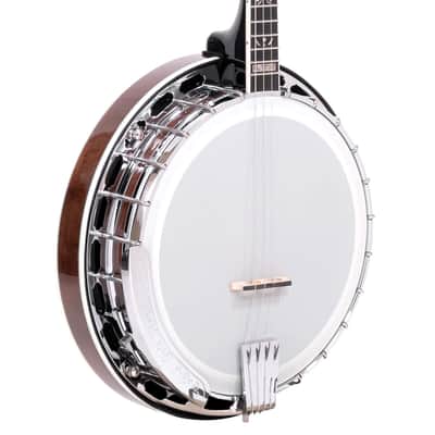 Gold Tone IT-250F/L Irish Tenor Resonator 4-String Banjo w/Flange & Hard Case For Left Hand Players image 1