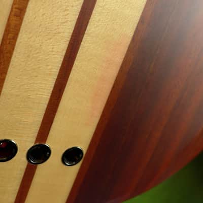 ESP LTD B-5E Neck-thru active 5-string bass (Mahogany top version) image 19