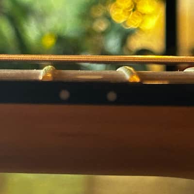 Joe Petruccio hand painted Maestro by Gibson Les Paul Junior image 8