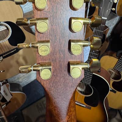Taylor Baritone-8 2009 - Sitka spruce with rosewood back image 3