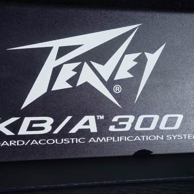 Peavey KB/A 300 with rare bass port. Hugely powerful! image 11