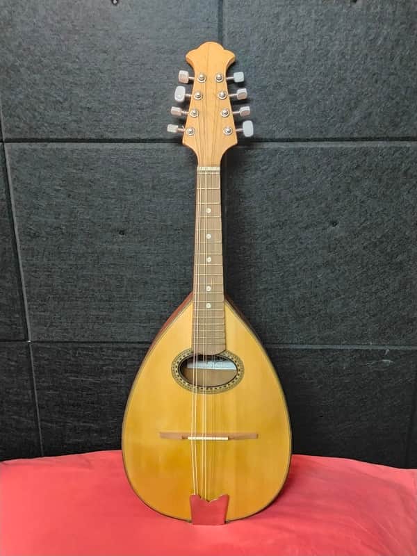 "il sigillo" ( liuteria estudiantina). Piatto 1960 - Natural image 1