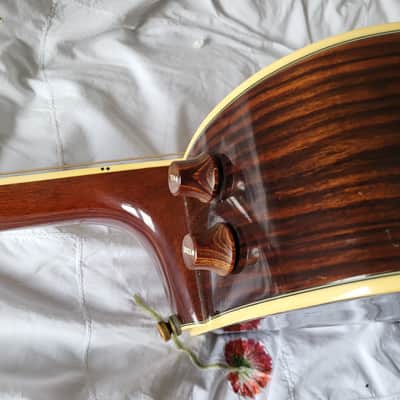 Aria FE60 Elecord 1980s Natural MIJ | Reverb
