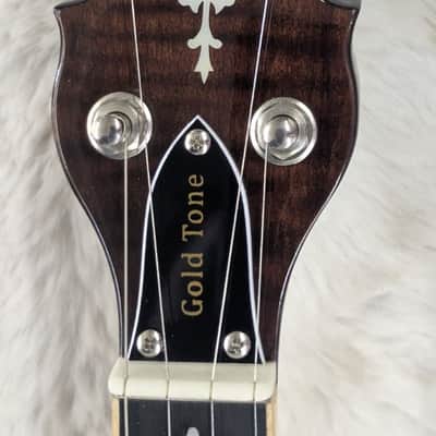 Gold Tone Model OB-250 Orange Blossom Banjo with Hardshell Case image 5