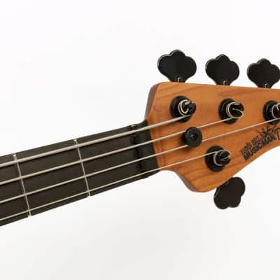Music Man USA Stingray DarkRay 4 String Bass Starry Night, Roasted Maple/Ebony image 7