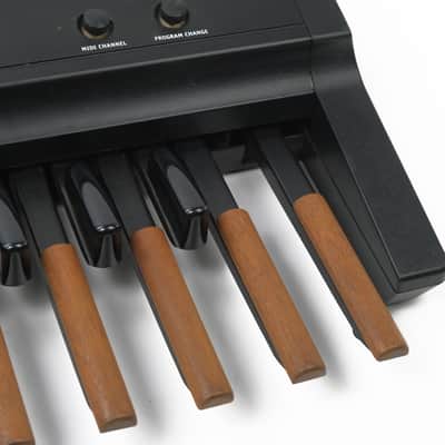 Studiologic MP-113 MIDI Pedal Controller Owned by Miguel Briseño of Lord Huron image 9
