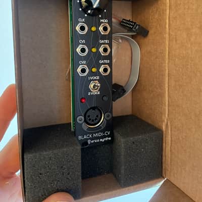 Erica Synths Black MIDI/CV V2 image 3