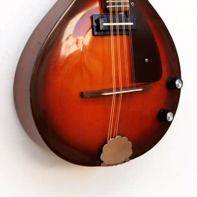 Eko MD-2 Electra 1968 vintage mandolin image 2
