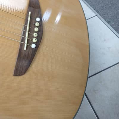 Rochester Brand Acoustic - Natural Finish, RARE image 4