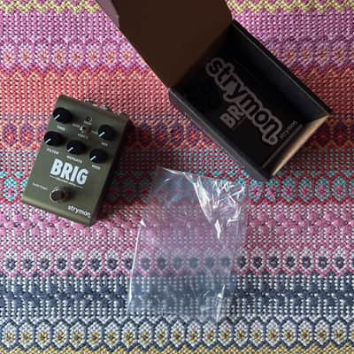 Strymon Brig dBucket Delay 2026 - Green image 2
