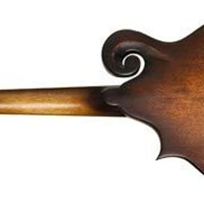Immagine Washburn, 8-String Mandolin (M108SWK-D) - 3