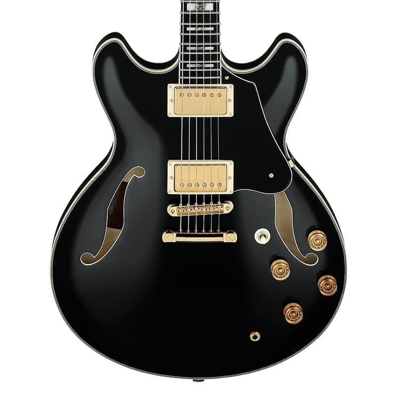 Ibanez JSM20TH 20th Anniversary John Scofield Signature image 2