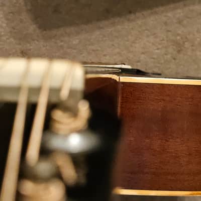 Morris WJ-25 Jumbo Acoustic Guitar Japan image 14