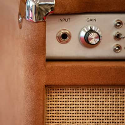 Two-Rock Studio Overdrive 35W 1x12 Combo - Tobacco Suede Cane Cloth Buckskin Piping image 5