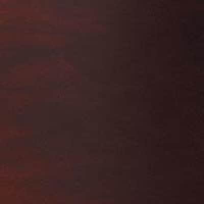 Tama 1B-TWT1208DMW STAR Walnut Tom Tom - 12 image 2