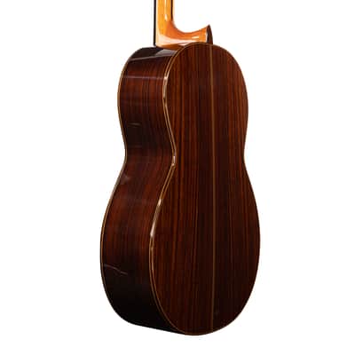 6 String Contrabass Guitar (Octave Bass) - Esteve PS75 - All Solid Wood/Cedar/Indian Rosewood - 750mm Scale Length image 14