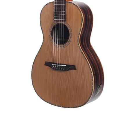 Bromo BAR 6 E SOLID TOP PARLOR SIZE ACOUSTIC GUITAR image 1