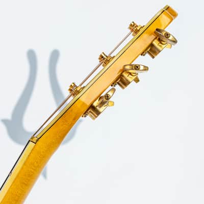 Daion The Year Series '81 Caribou - Tinted Tan (TAN) - Electric Acoustic Six String image 15