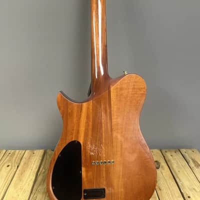 Carvin AE185 2001 image 10