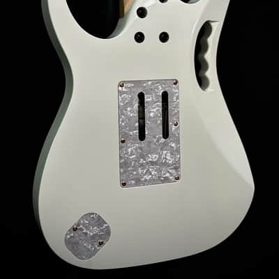 STEVE VAI OWNED IBANEZ JEM LACS "BRAXIS" image 6