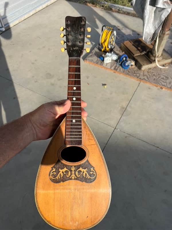 American Conservatory, Lyon & Healy Bowl Back Mandolin image 1