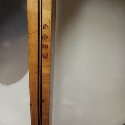 Orpheum No. 1 Tenor Banjo 1910-1915 image 7