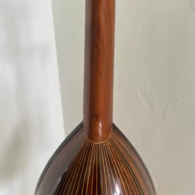 Gorgeous Martin Style Vintage 1800’s J. Howard W. Foote & Co CHALLENGE ROSEWOOD Bowlback Mandolin Challenge Bowlback Tater Bug Mandolin - Brazilian Rosewood image 6