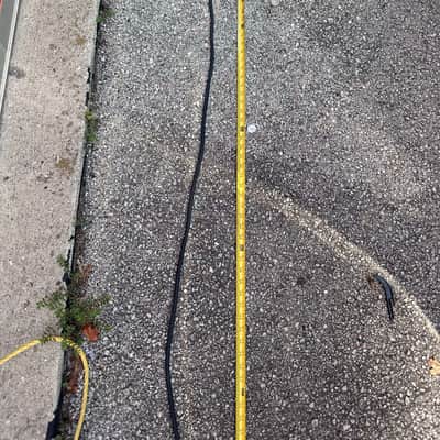 Lot 6 items Gepco Pro Speaker Cable w/ Neutrik NL2FC Speakon Connectors – 12AWG image 4
