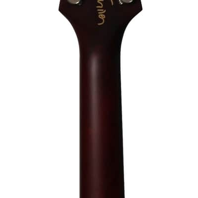 Rick Turner model 1 image 3