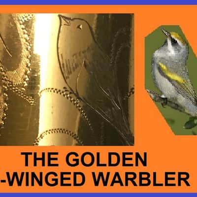 MARTIN 1930 GOLD PLATED PORTRAIT " THE GOLDEN-WINGED WARBLER " MASTER TYPEWRITER HANDCRAFT ALTO SAXOPHONE STUNNING LOVELY ENGRAVING & PLAYING WELL, ORG CASE , TECH SERVICED FREE SHIP image 3