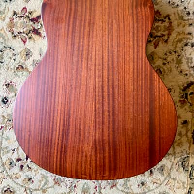 Eastman ACTG1-CLA image 4