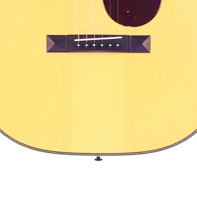 Santa Cruz 00-Skye Acoustic Guitar - designed in collaboration with the jazz guitarist Eric Skye - check video! image 4