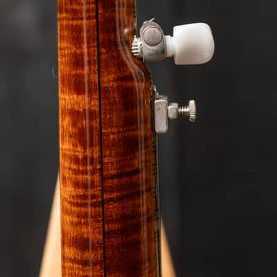 Wildwood Troubadour 5-String Open-Back Banjo Circa 1973 - Gloss image 17