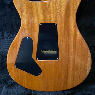 2014 PRS Custom 24 10-Top - Eriza Verde image 9