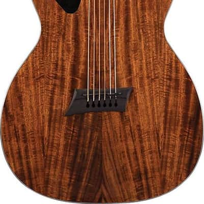 Michael Kelly Forte Porte Exotic Gloss Koa Acoustic-Electric Guitar image 1