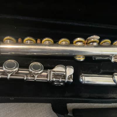 Eastman Closed Hole Flute All New Pads, New Case image 2
