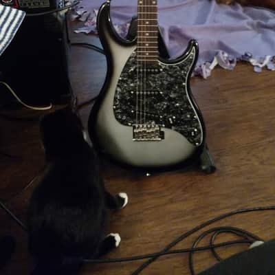 Peavey Raptor Custom SSS Electric Guitar Silverburst w/ Rosewood Fretboard