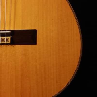 Yamaha GC-30 Grand Concert Classical Acoustic 1989 image 16