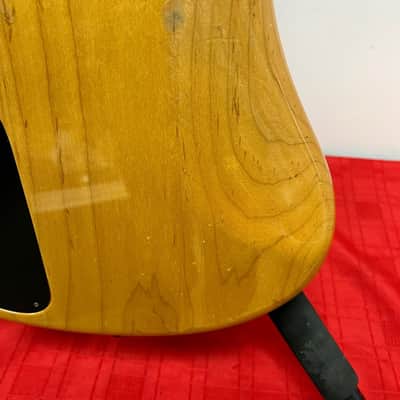 Pedulla Thunderbolt 6-String Electric Bass Made in the USA with Case image 14