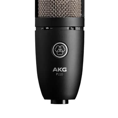 AKG P220 Large-Diaphragm Condenser Microphone (P220-U) image 2